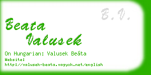 beata valusek business card