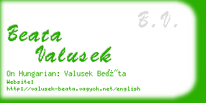 beata valusek business card